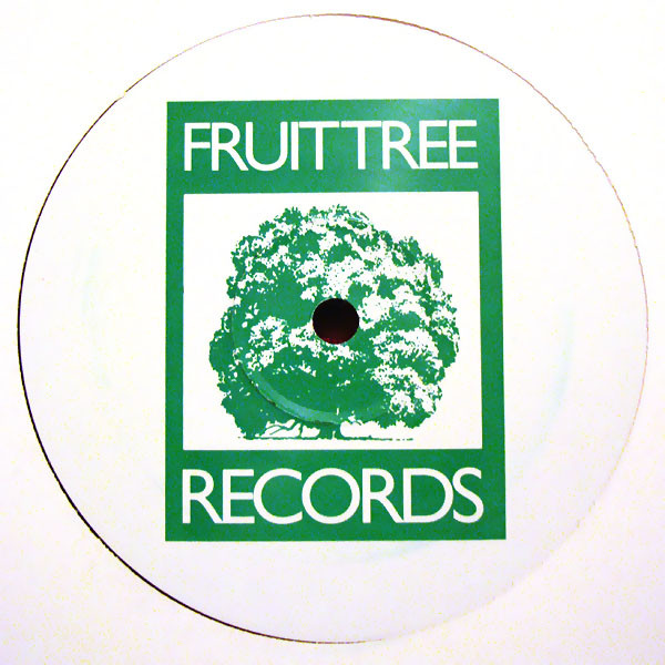 The Dave Jay Project - Ain't It Rough | Fruittree Records (FTREE 04R) - 2