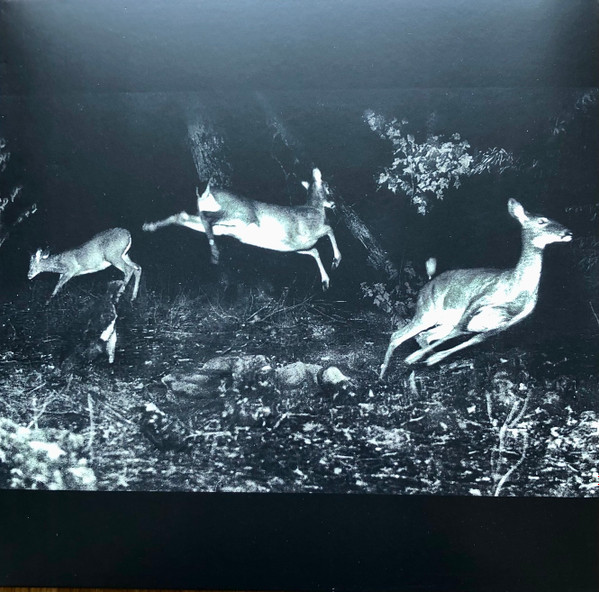 Wordcolour - The Trees Were Buzzing, And The Grass. | Houndstooth (HTH153) Wordcolour - The Trees Were Buzzing, And The Grass. | Houndstooth (HTH153)