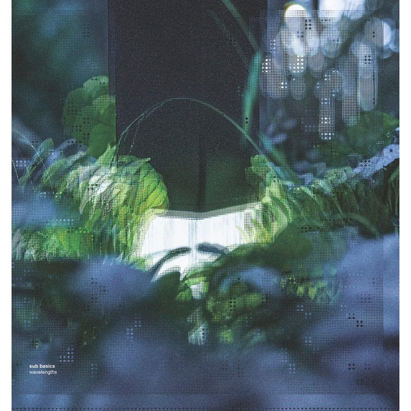 Sub Basics - Wavelengths | Animalia (ANIMA17)
