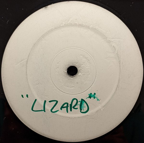 Camisra Vs Mauro Picotto - Lizard Without Scales | Not On Label (Mauro Picotto) (MY LIZARD) - 3 Camisra Vs Mauro Picotto - Lizard Without Scales | Not On Label (Mauro Picotto) (MY LIZARD) - 3