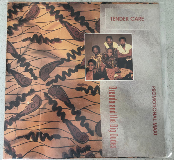 Brenda & The Big Dudes - Tender Care / Hold Me | Family (12FLY 541) - main Brenda & The Big Dudes - Tender Care / Hold Me | Family (12FLY 541) - main