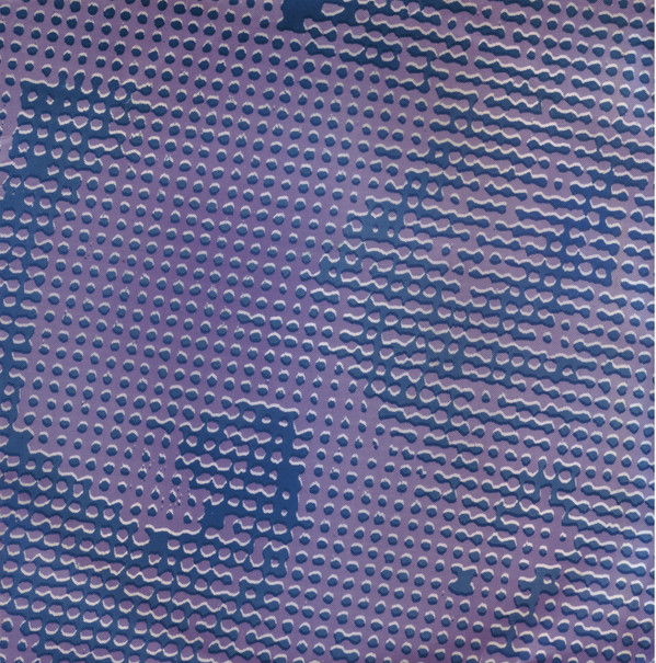 Tristan Disco - Demonstration Takes And Retakes | Camisole Records (CAM023) Tristan Disco - Demonstration Takes And Retakes | Camisole Records (CAM023)