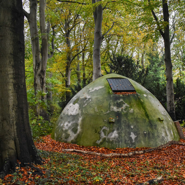 In Transit - In Transit | FELT (FELT011)