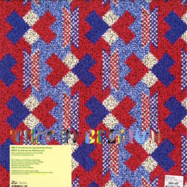 Riot In Belgium - The Acid Never Lies | Relish Records (RR16) - 2