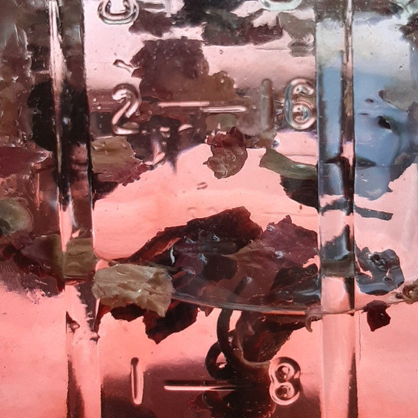 Pontiac Streator - Triz | Motion Ward (MW008)