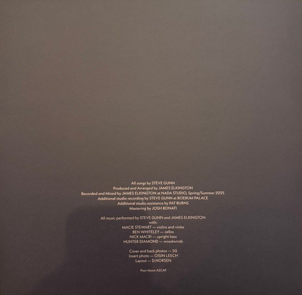 Steve Gunn - Daylight Daylight | No Quarter (NOQ103-1) - 4