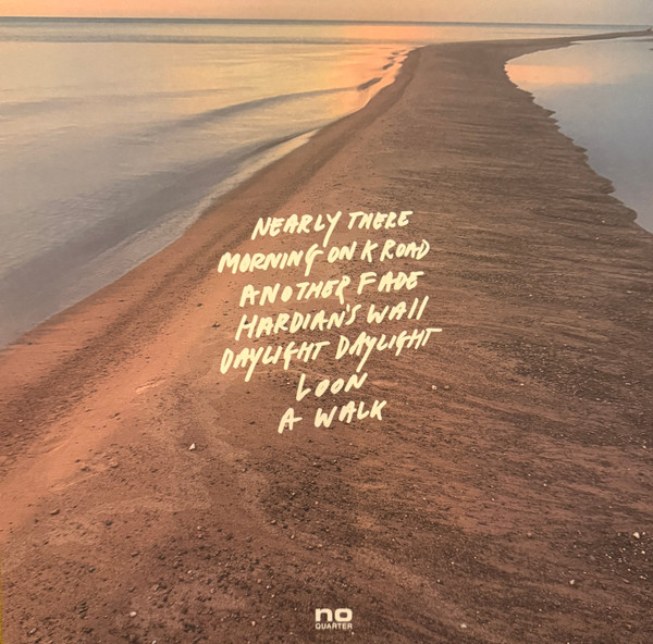 Steve Gunn - Daylight Daylight | No Quarter (NOQ103-1) - 2