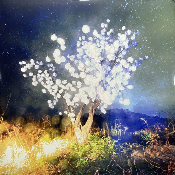 The Notwist - Vertigo Days | Morr Music (mm 180) - main The Notwist - Vertigo Days | Morr Music (mm 180) - main