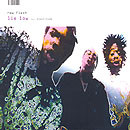 New Flesh - Lie Low | Big Dada Recordings (BD041)