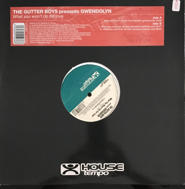 The Gutter Boys - What You Won't Do For Love | House Tempo (HT 5038 MX)