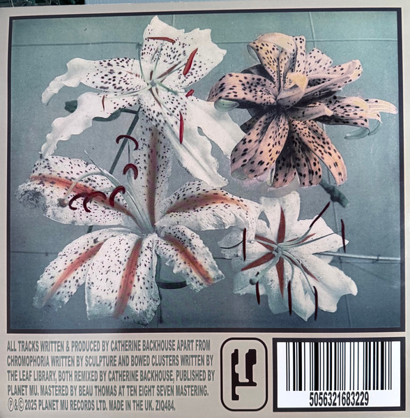 Xylitol - Blumenfantasie | Planet Mu (ZIQ484) - 2