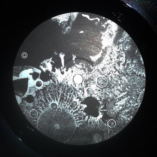 Enzym - Schrank | Bohnerwachs Tontraeger (BOWA 8) - 2