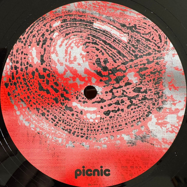 Shkedul - PICNIC010 | Picnic Records (PICNIC010)