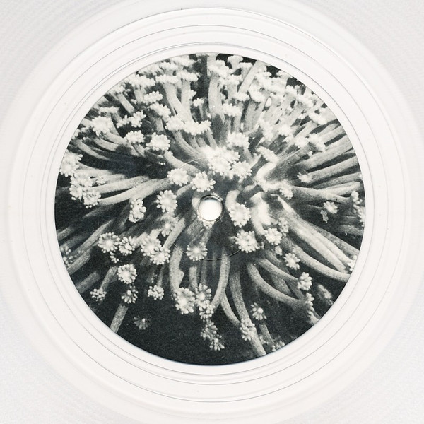 Helm - The Hollow Organ | Pan (PAN 50) - 2