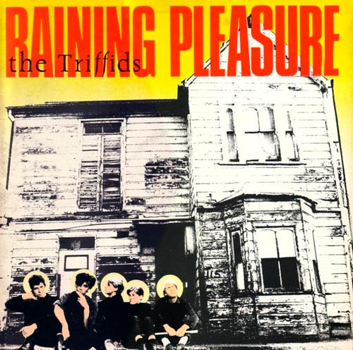 The Triffids - Raining Pleasure | Hot Records (MINIHOT 1) - main The Triffids - Raining Pleasure | Hot Records (MINIHOT 1) - main