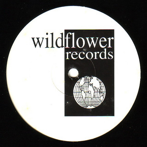 Alex Neri - Planet Funk 2 Remix | Wildflower Records (WILD 011) - 3