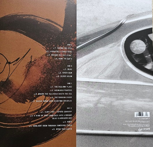 David Sylvian - Gone To Earth 2LP | Virgin EMI Records (INTGDS00038LP) - 4