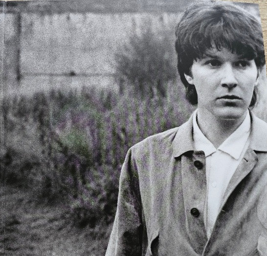 David Sylvian - Gone To Earth 2LP | Virgin EMI Records (INTGDS00038LP) - 3