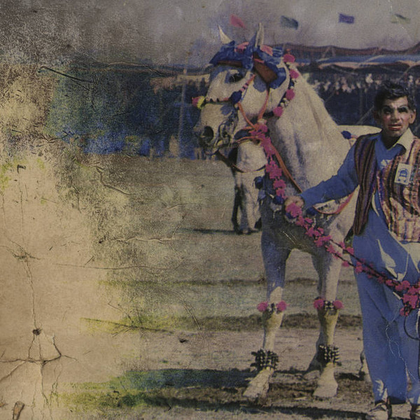 Kong - Snake Magnet | A Tant Rêver Du Roi (ATRDR97)