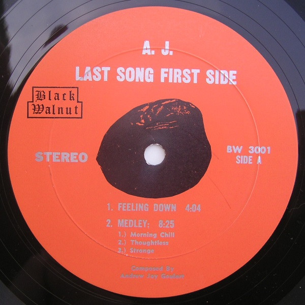 Andrew Jay Goulart - Last Song First Side | Black Walnut (BW 3001) - 3