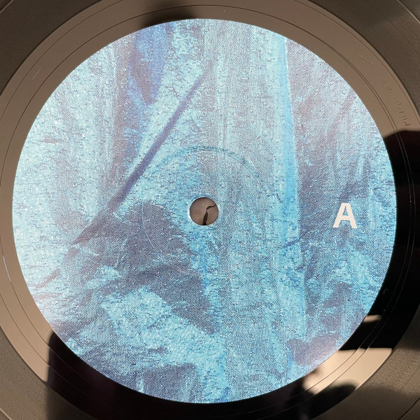 Anadol - Felicita | Pingipung (Pingipung 074) - 3