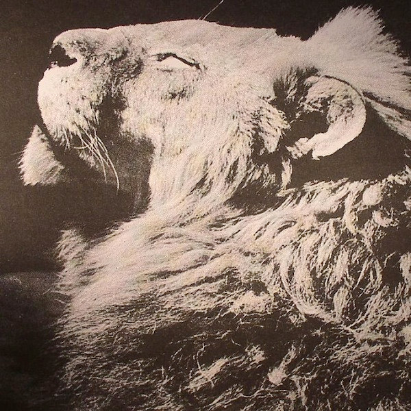 Anthony Naples - El Portal | The Trilogy Tapes (TTT008)