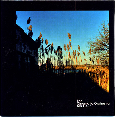 The Cinematic Orchestra - Ma Fleur | Ninja Tune (ZENCD122P)