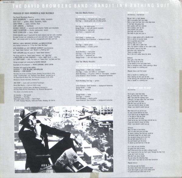 David Bromberg Band - Bandit In A Bathing Suit | Fantasy (F-9555) - 3 David Bromberg Band - Bandit In A Bathing Suit | Fantasy (F-9555) - 3