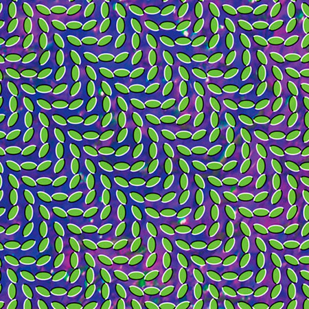 Animal Collective - Merriweather Post Pavilion | Domino (DNO 219)
