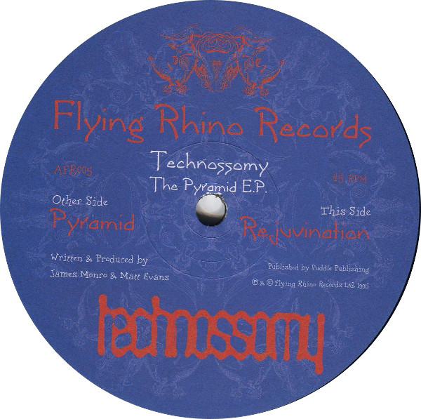 Technossomy - The Pyramid E.P. | Flying Rhino Records (AFR005) - 2