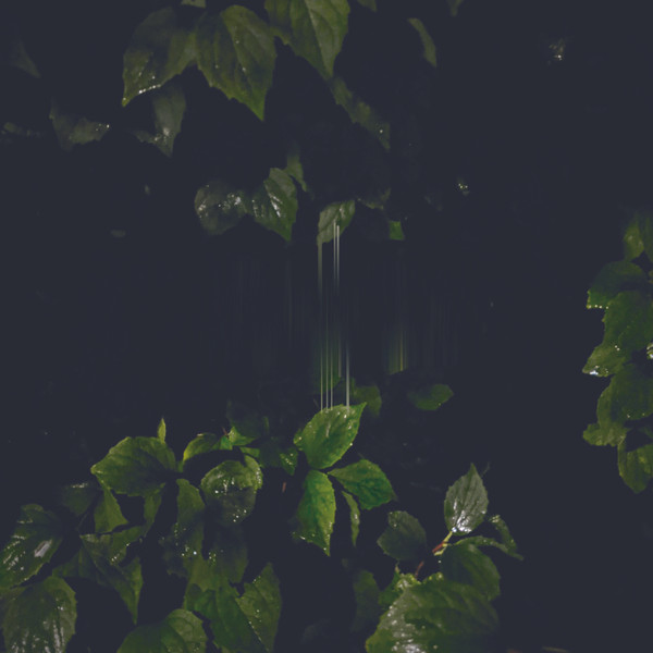 Martina Bertoni - Music For Empty Flats | Karlrecords (KR083)