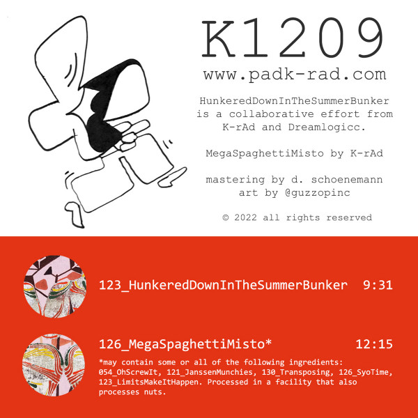 K-Rad , Dreamlogicc - K1209 | padK-rAd (K1209) - main