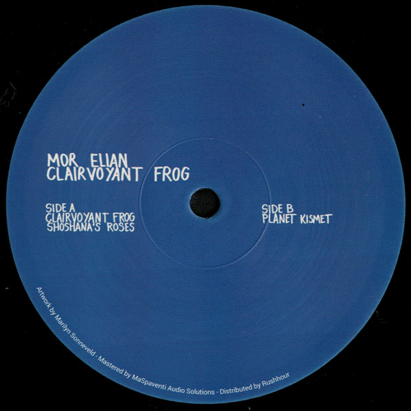 Mor Elian - Clairvoyant Frog | Visible Spectrum (VIS-SPEC001) - 3 Mor Elian - Clairvoyant Frog | Visible Spectrum (VIS-SPEC001) - 3