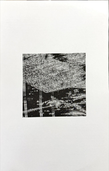 Black Industrial Research Group - Dubmorphology (feat John Akomfrah) | purge.xxx (purrrrrj047) - 3