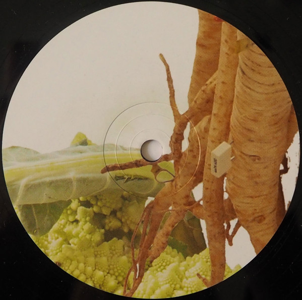 Vegetable Orchestra - Remix Trilogy (Volume One) | Karmarouge (KR08) - 2