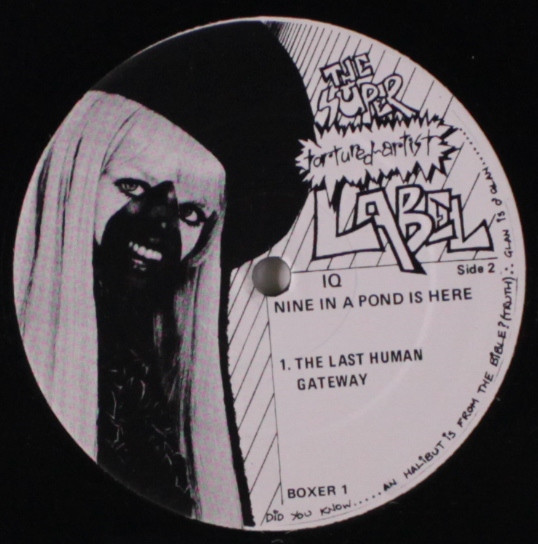IQ - Nine In A Pond Is Here | The Super Tortured Artist Label (Boxer 1) - 4