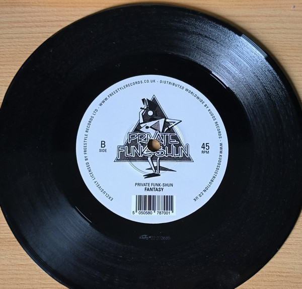 Private Funk-Shun - All That I Wanted Was You | Freestyle Records (FSR7100)