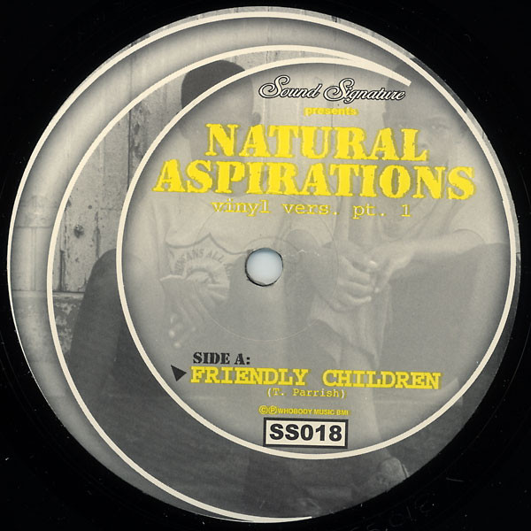 Theo Parrish - Natural Aspirations (Vinyl Vers. Pt. 1) | Sound Signature (SS018)