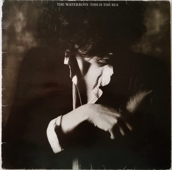 The Waterboys - This Is The Sea | Island Records (I-207.095) - main