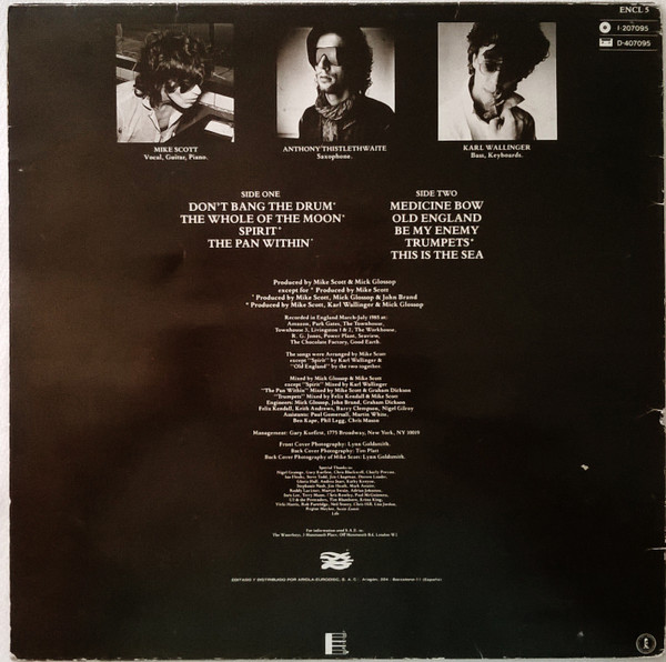 The Waterboys - This Is The Sea | Island Records (I-207.095) - 2