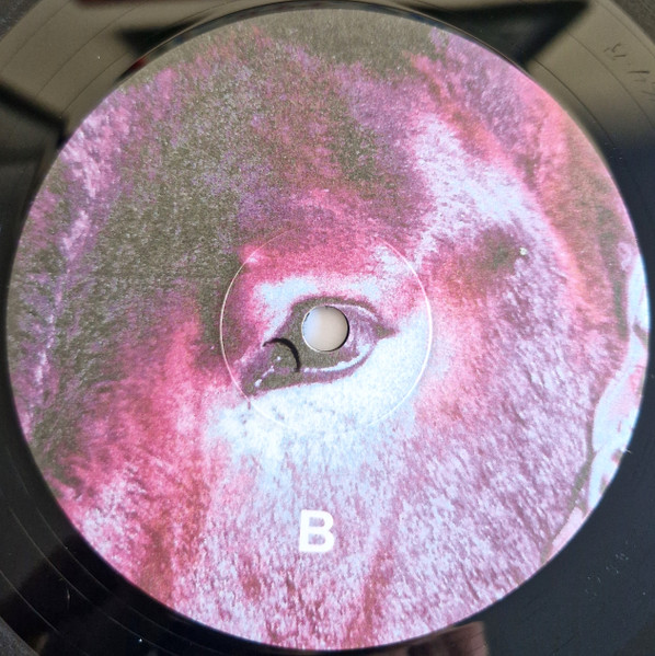 Protomartyr - Ultimate Success Today - LP | Domino (WIGLP464) - 4