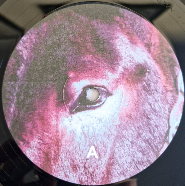 Protomartyr - Ultimate Success Today - LP | Domino (WIGLP464) - 3