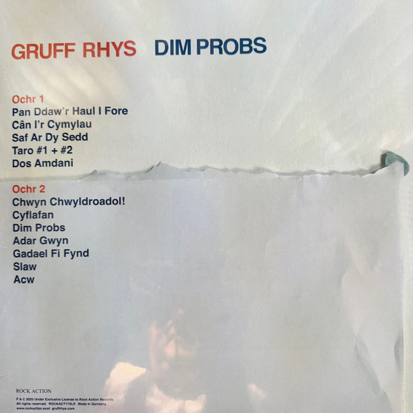 Gruff Rhys - Dim Probs | Rock Action Records (ROCKACT170LP) - 2