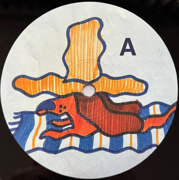 Gruff Rhys - Dim Probs | Rock Action Records (ROCKACT170LP) - 3