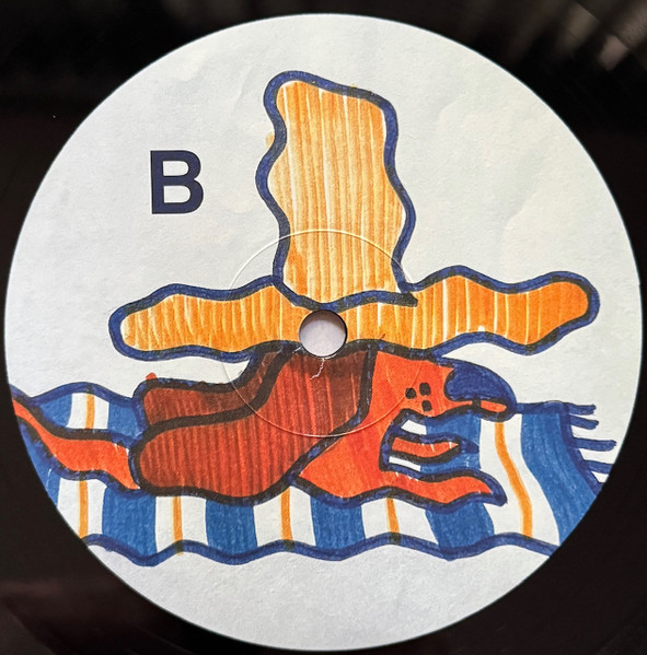 Gruff Rhys - Dim Probs | Rock Action Records (ROCKACT170LP) - 4