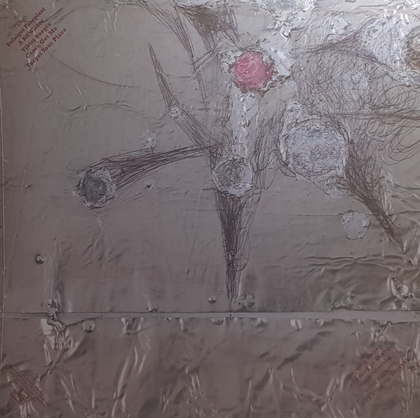 Stephen Malkmus - Groove Denied | Domino (WIGLP452X) - 2 Stephen Malkmus - Groove Denied | Domino (WIGLP452X) - 2