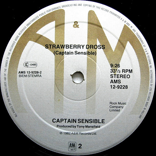 Captain Sensible - Wot! | A&M Records (AMS 12-9228) - 4