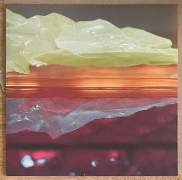 Giovanni Di Domenico - Echolalia | W.E.R.F. (W.E.R.F. 230)