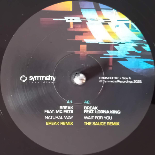 Break - Digital World Remixes | Symmetry Recordings (SYMMLP012) - 3