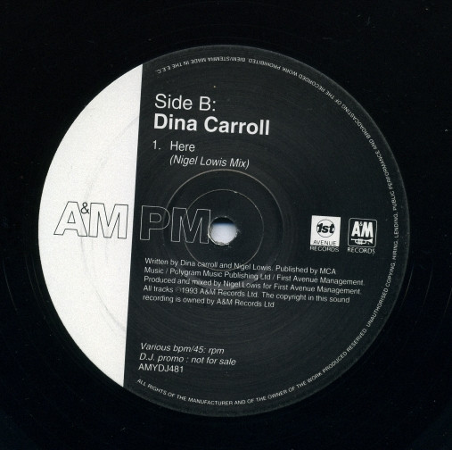 Dina Carroll - Here / Special Kind Of Love / The Perfect Year | A&M PM (AMYDJ481) - 3 Dina Carroll - Here / Special Kind Of Love / The Perfect Year | A&M PM (AMYDJ481) - 3